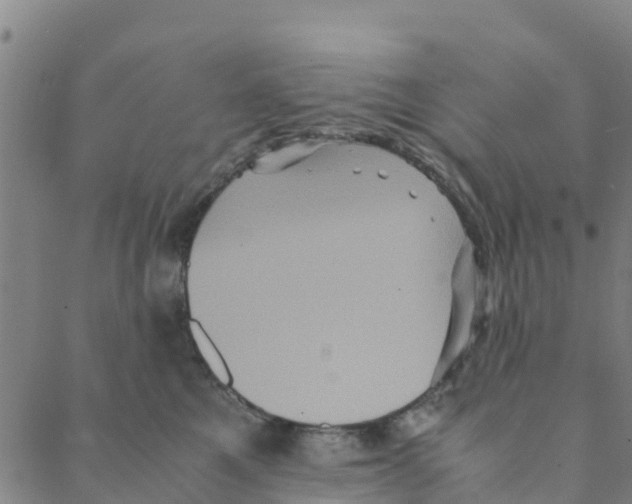 X0000088400521200706191401