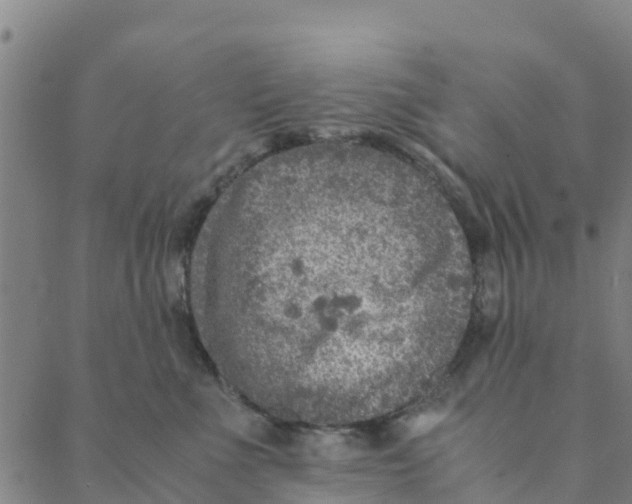 X0000088400523200706191400