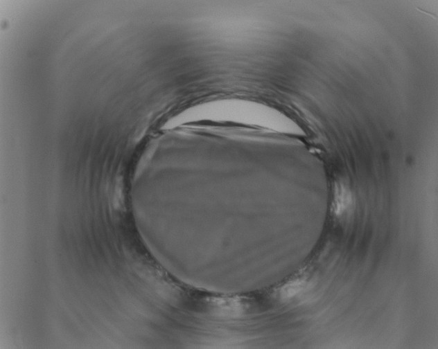 X0000088400524200706191400