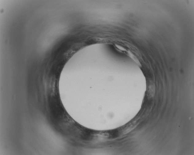 X0000088400525200706191400