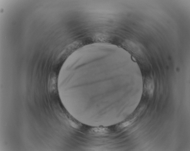 X0000088400526200706191400