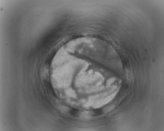 X0000088400527200706191400