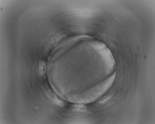 X0000088400528200706191400