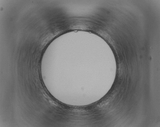 X0000088400529200706191400