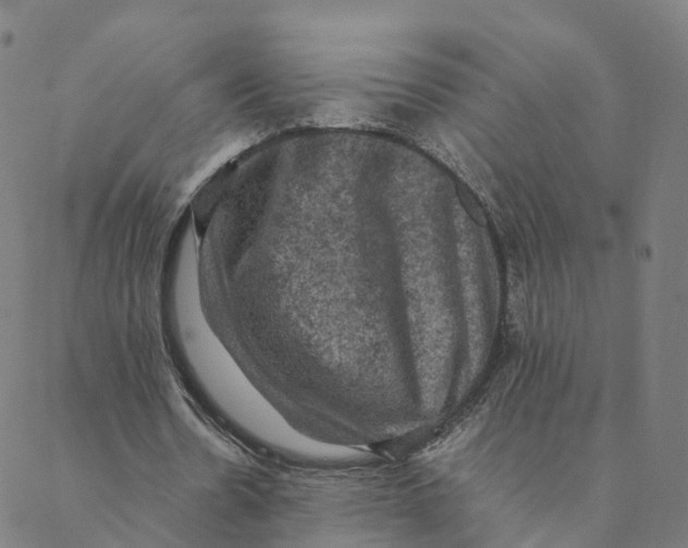 X0000088400530200706191400