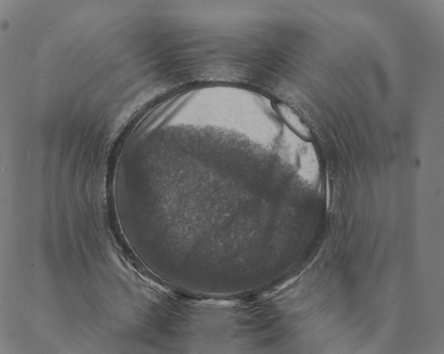 X0000088400531200706191400