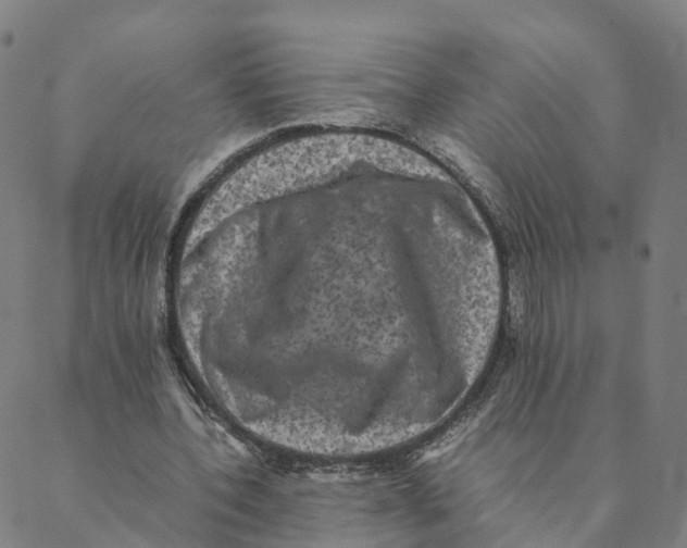 X0000088400532200706191400