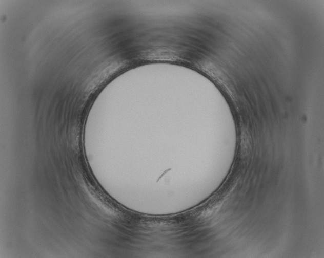 X0000088400533200706191400