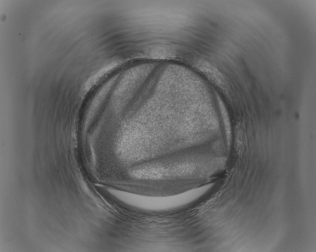 X0000088400536200706191400