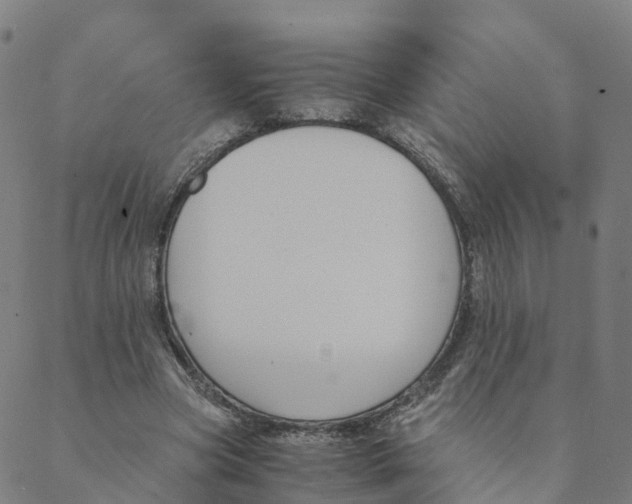 X0000088400537200706191400