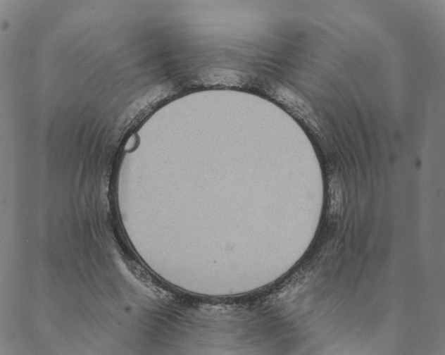 X0000088400538200706191400