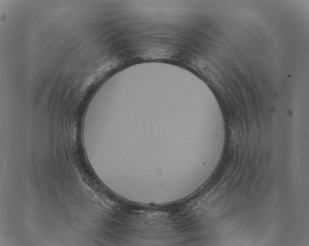 X0000088400539200706191400