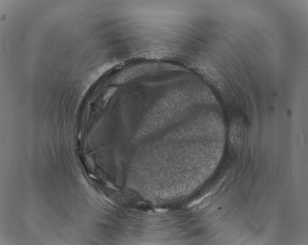 X0000088400540200706191400