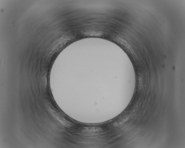 X0000088400541200706191400