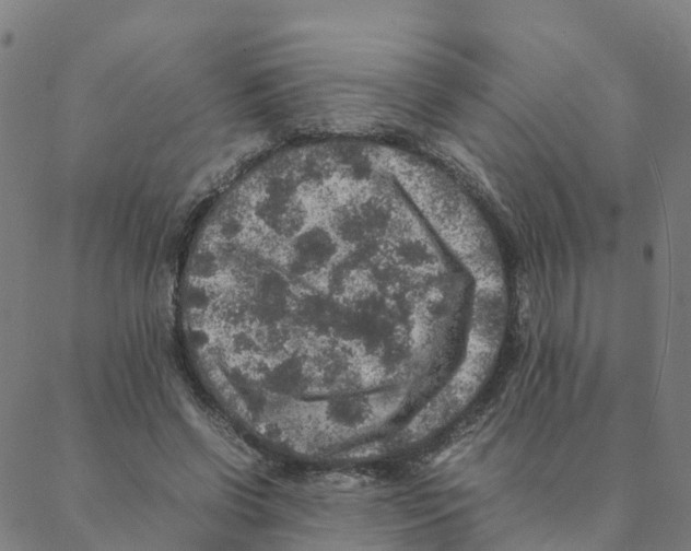 X0000088400542200706191400