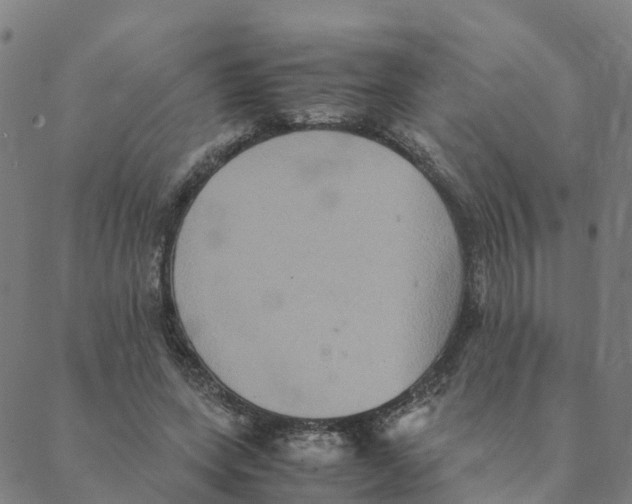 X0000088400543200706191400