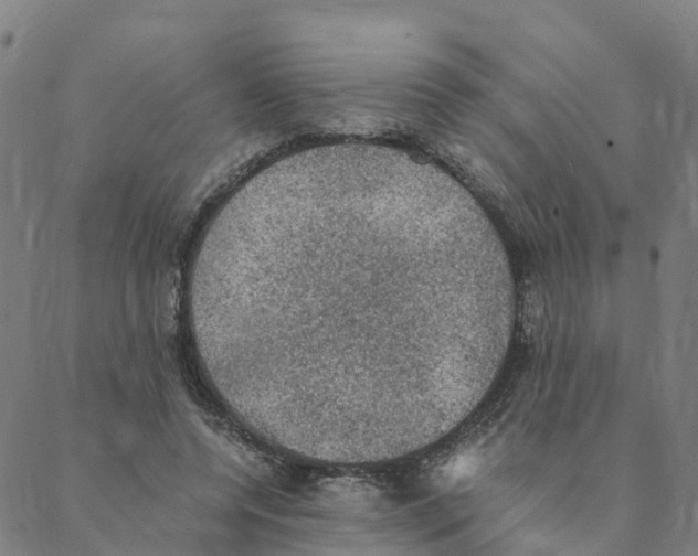 X0000088400544200706191400