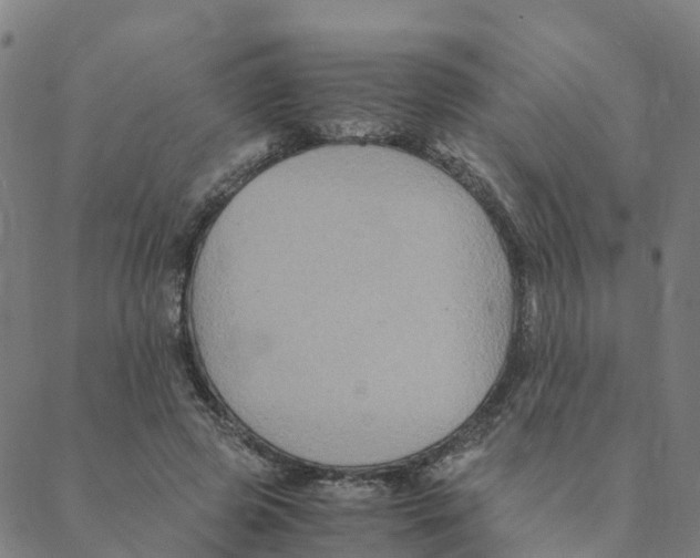 X0000088400545200706191400