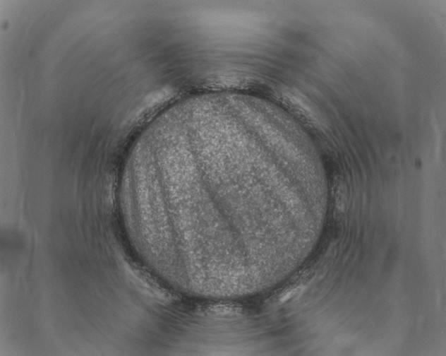 X0000088400546200706191400