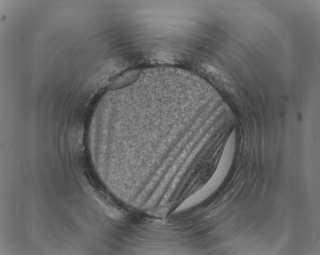 X0000088400548200706191400