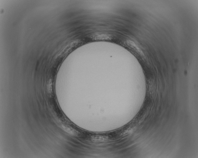 X0000088400549200706191400