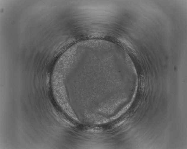 X0000088400550200706191400