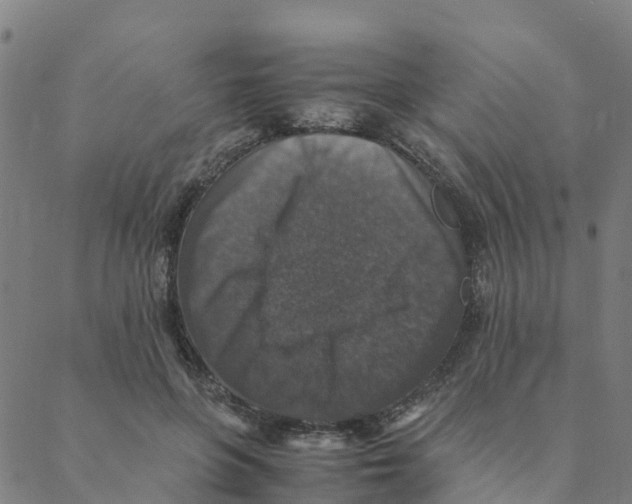 X0000088400551200706191400