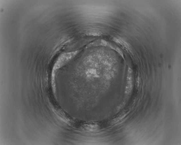 X0000088400552200706191400