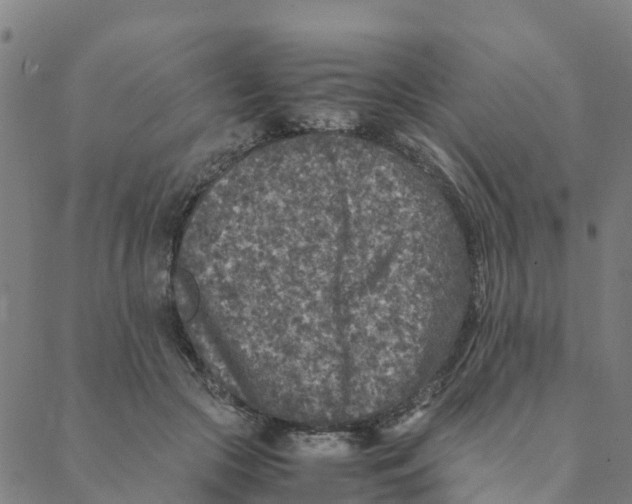 X0000088400553200706191400