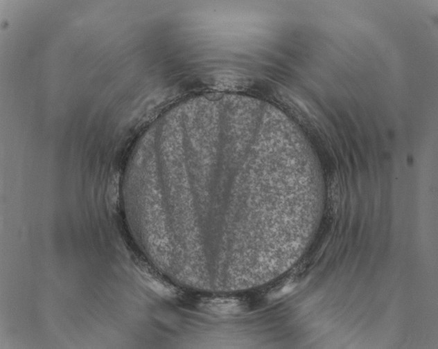 X0000088400554200706191400