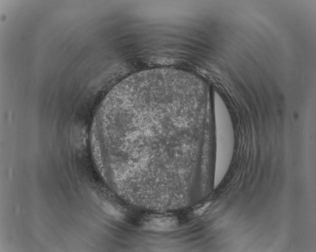 X0000088400555200706191400