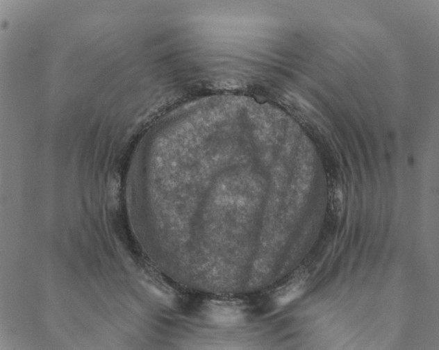 X0000088400556200706191400