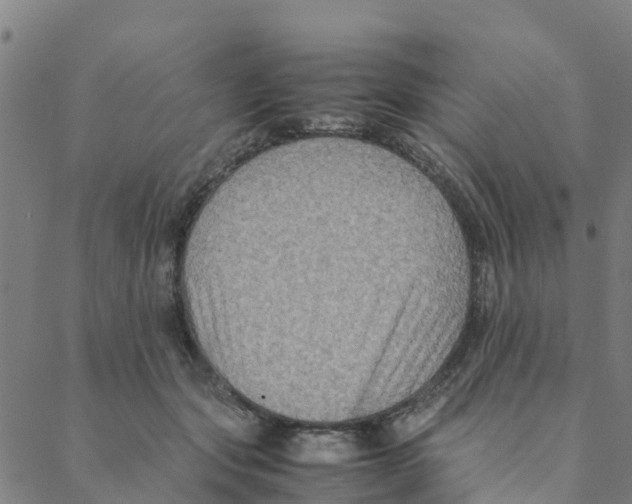 X0000088400557200706191400