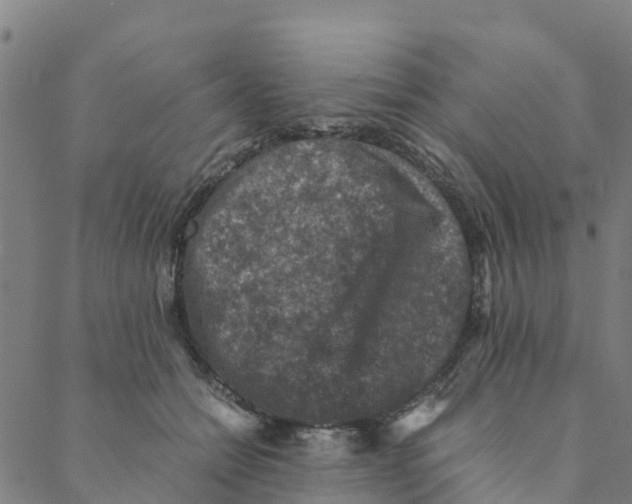 X0000088400558200706191400