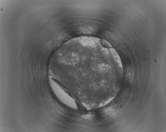 X0000088400559200706191400