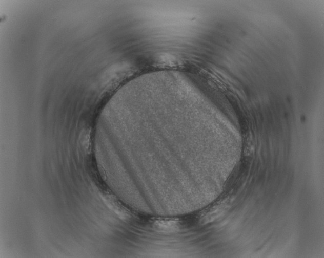 X0000088400560200706191400