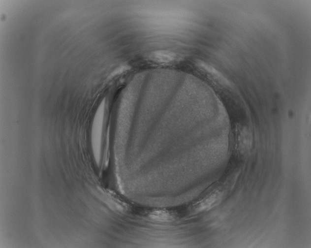 X0000088400562200706191400