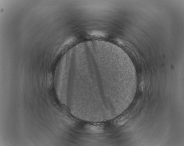 X0000088400563200706191400