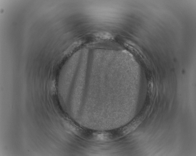 X0000088400564200706191400