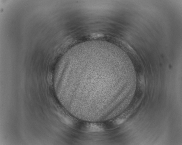 X0000088400565200706191400