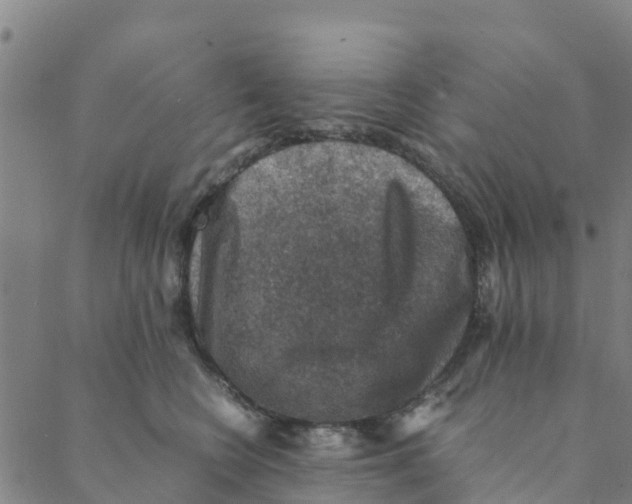 X0000088400566200706191400