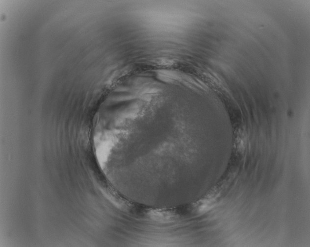 X0000088400568200706191400