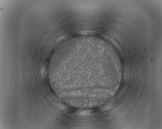 X0000088400569200706191400