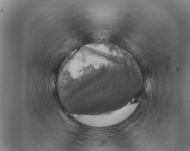 X0000088400570200706191400