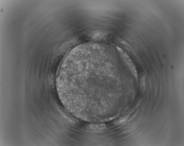 X0000088400571200706191400