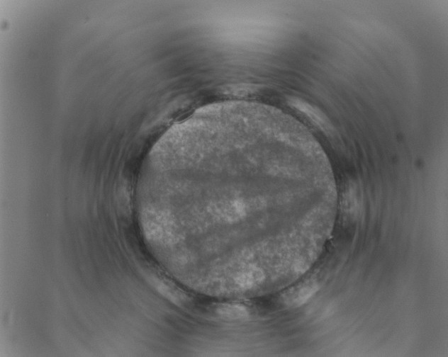 X0000088400572200706191400