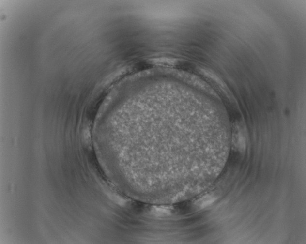 X0000088400573200706191400