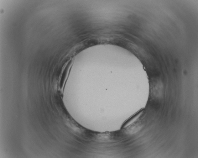 X0000088400574200706191400