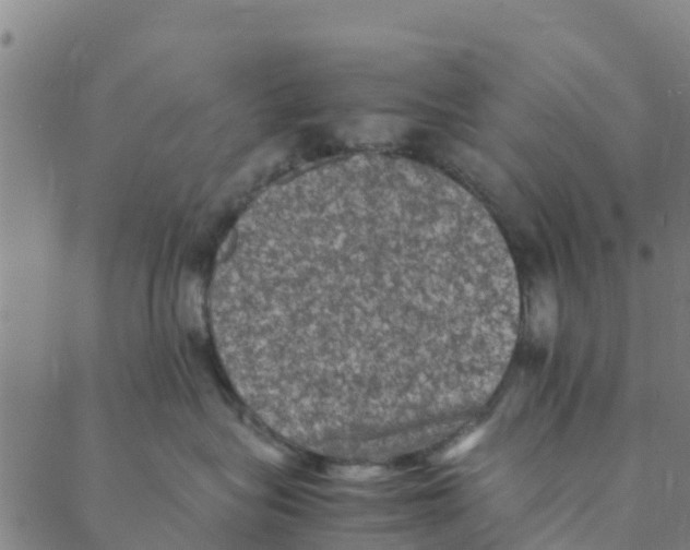 X0000088400575200706191400