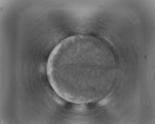 X0000088400576200706191400